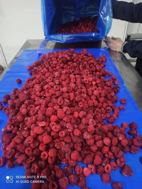Frozen Whole Raspberries 90/10 - Image 2